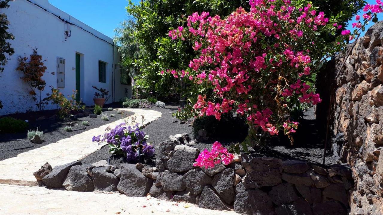 Villa Casa Tara Mácher Exterior foto